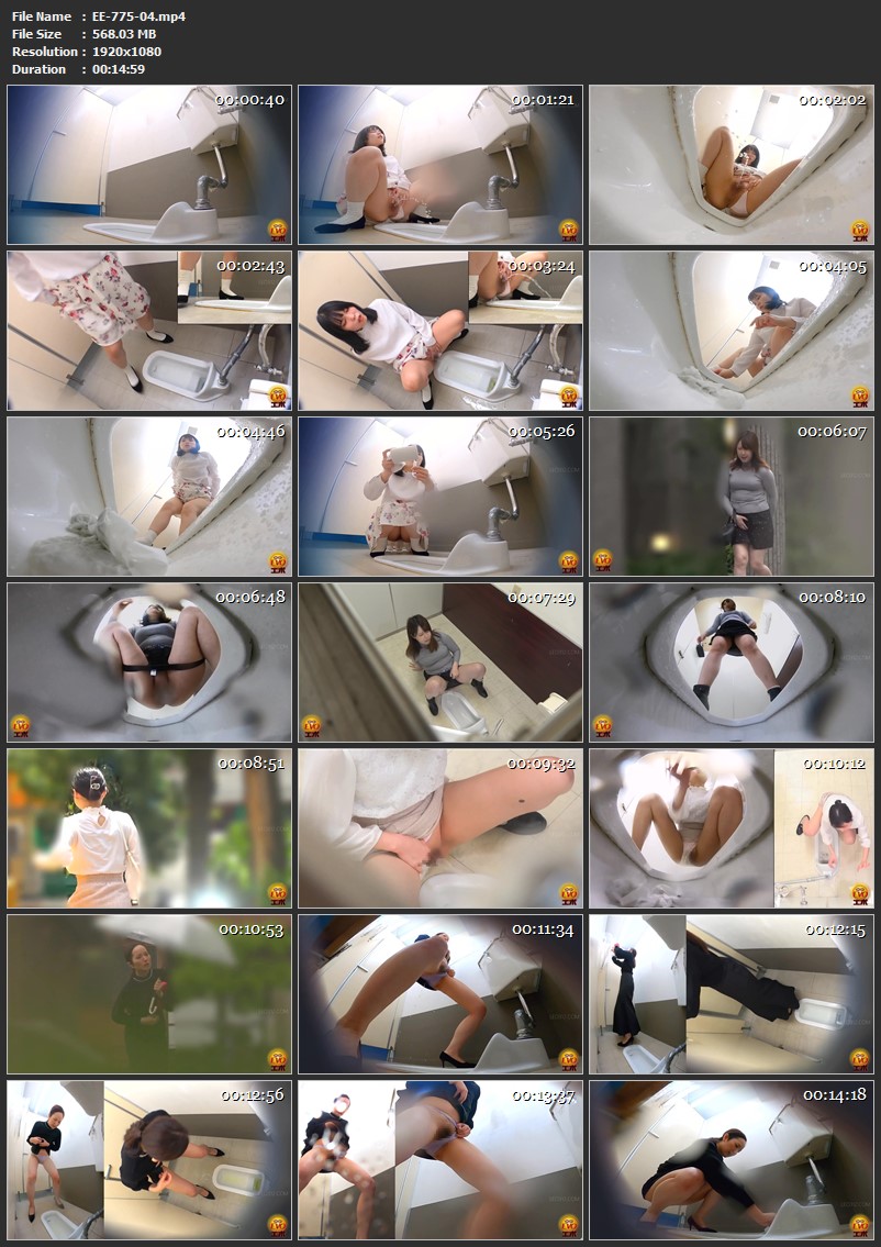 [EE-775] エボ・ビジュアル 公衆便所隠撮 便器飛び越え大砲尿 2 Toilet Pee